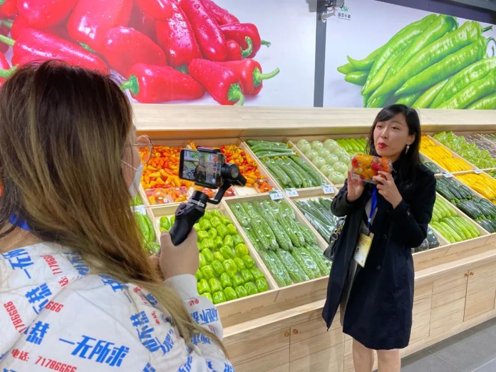 中国（寿光）国际蔬菜科技博览会 全面网上开展了！！