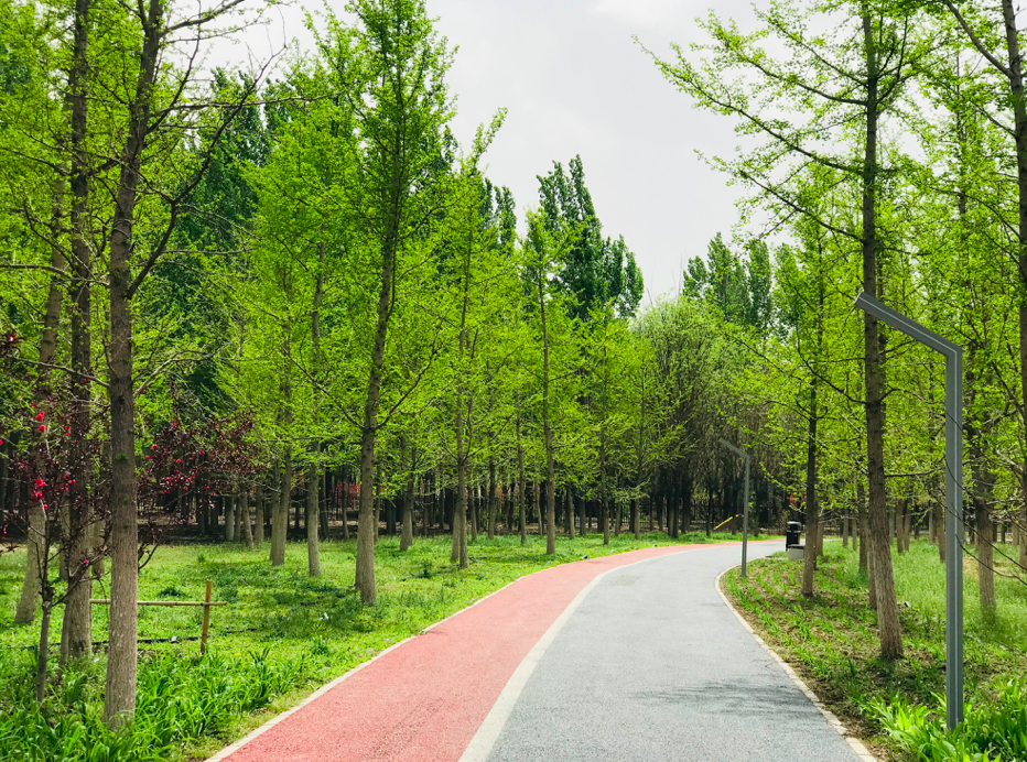 台湖万亩游憩园|亦庄新城这些打卡拍照胜地，你知道几个？