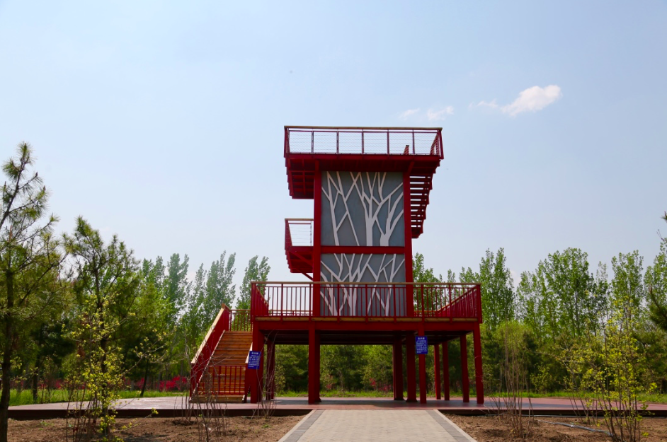 台湖万亩游憩园|亦庄新城这些打卡拍照胜地，你知道几个？