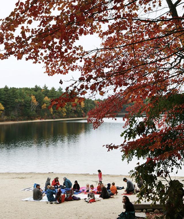 一千个读者就有一千个《瓦尔登湖》|瓦尔登湖|沃尔特·哈丁|纯文学