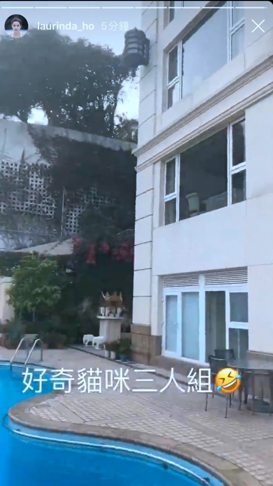 何超莲|何超莲送别赌王后首更新动态，曝光窦骁入住三太豪宅同居“试婚”