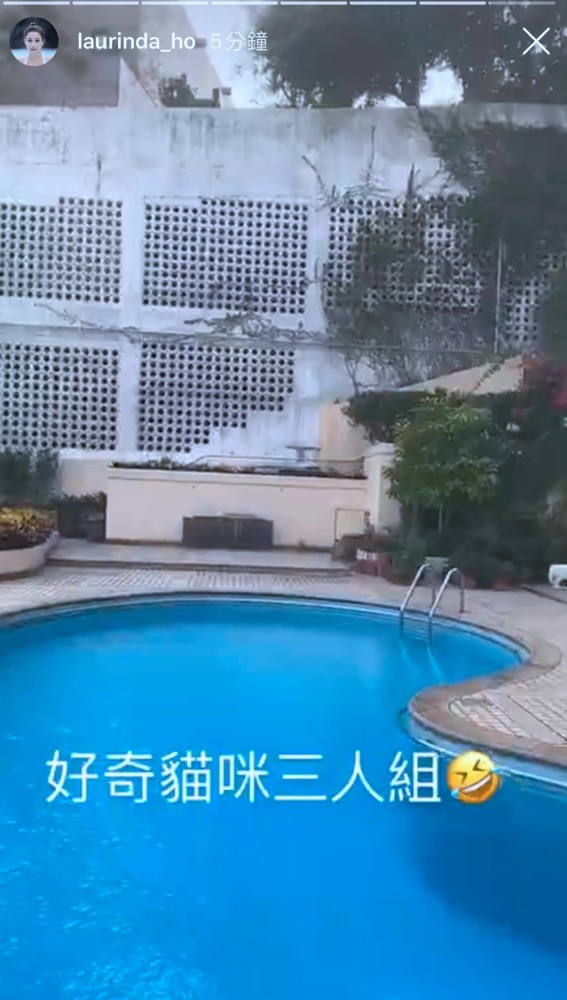 何超莲|何超莲送别赌王后首更新动态，曝光窦骁入住三太豪宅同居“试婚”