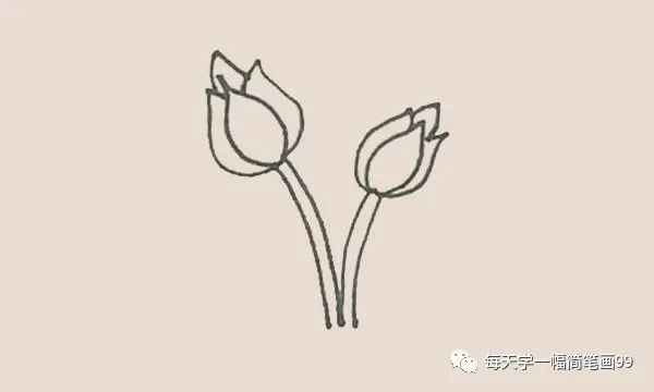 每天学一幅简笔画简单九步学画月季花简笔画步骤图解教程