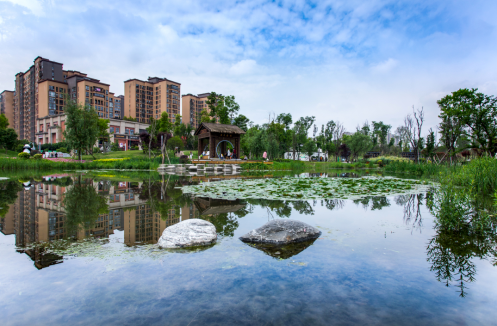 两拆一增·护航大运 转角遇见绿,遇到爱