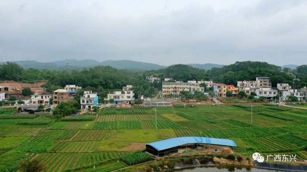 企业农户模式养殖生猪江平镇交东村这样奔富