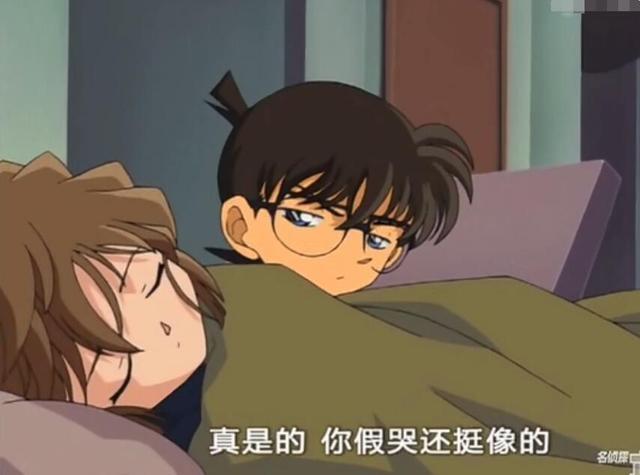 名侦探柯南 为什么柯南愿意守护灰原哀 却不接受灰原哀表白 阿笠博士 黑衣组织 名侦探柯南 灰原哀 毛利兰 工藤新一