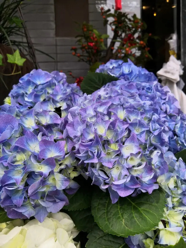 腾讯内容开放平台