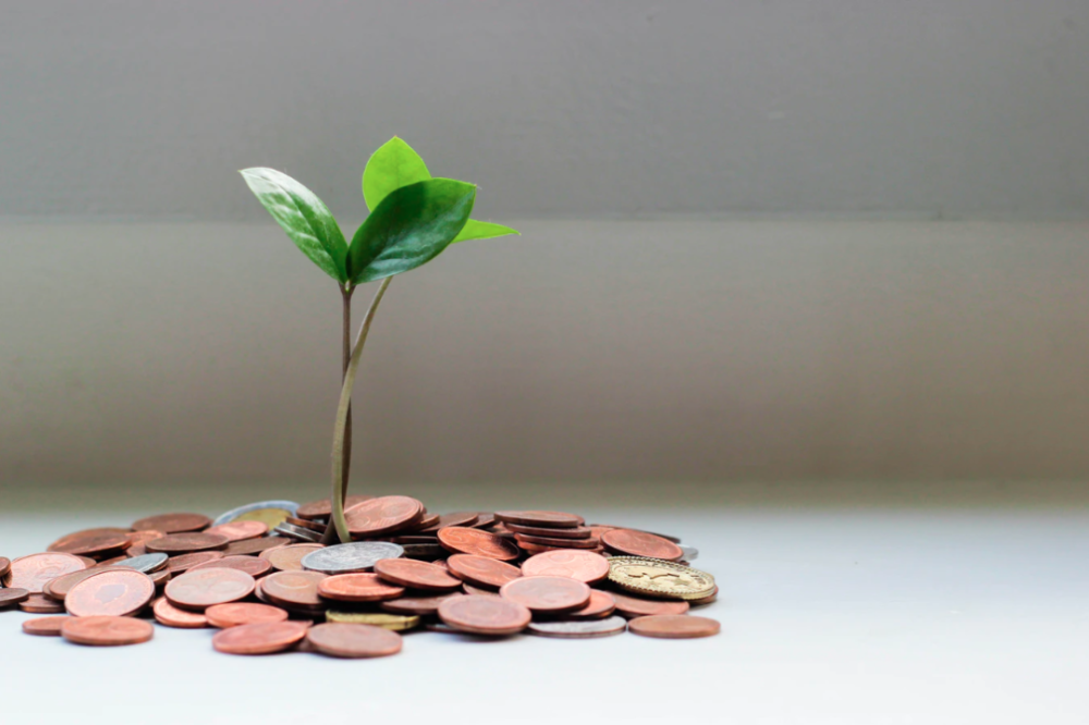 摇钱树 要翻译成money Tree吗 这些才是地道的说法 腾讯新闻