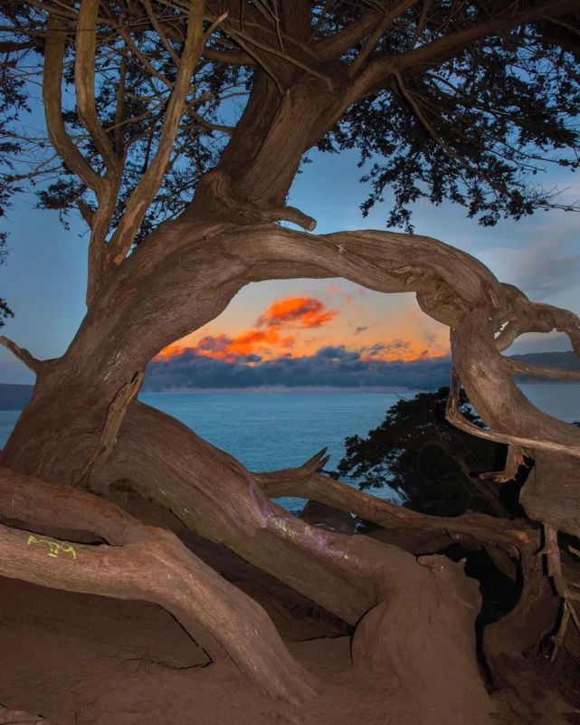 图片来源ins:tinycactus - end - - 往日审美查