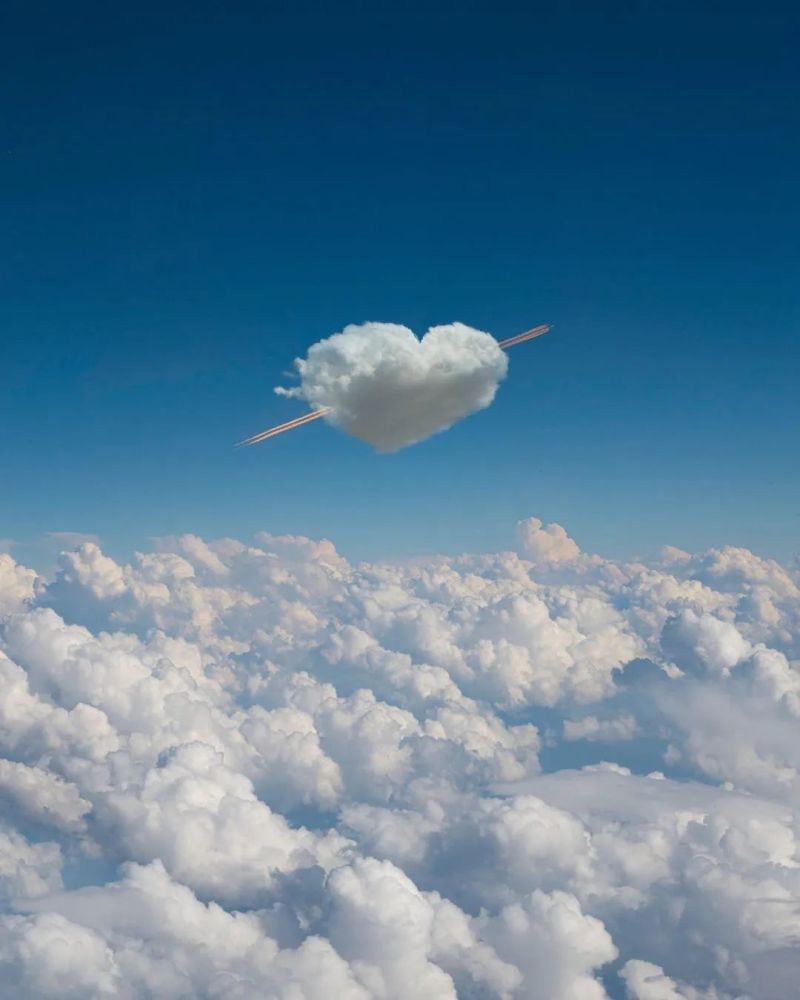 图片来源ins:tinycactus- end -- 往日审美查阅