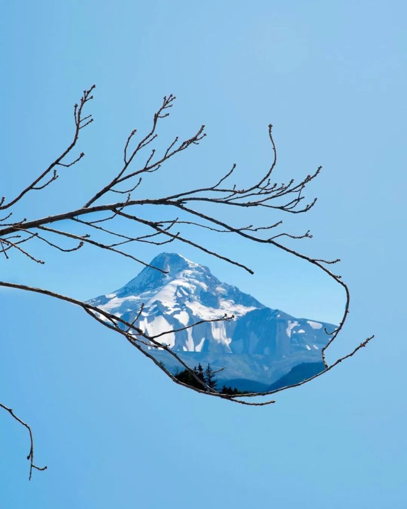 图片来源ins:tinycactus- end -- 往日审美查阅