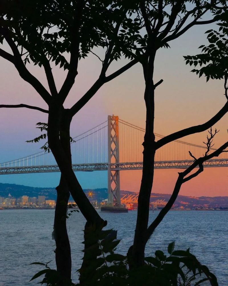 图片来源ins:tinycactus- end -- 往日审美查阅