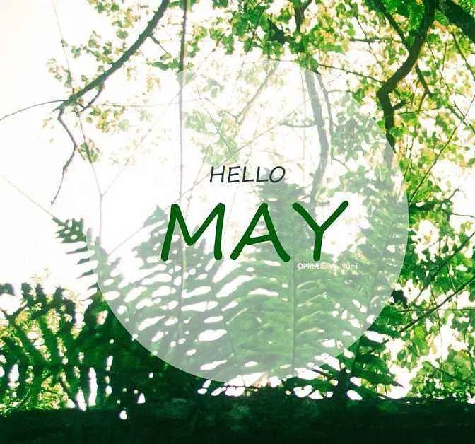 五月第一天发朋友圈的说说 五一假期愉快!