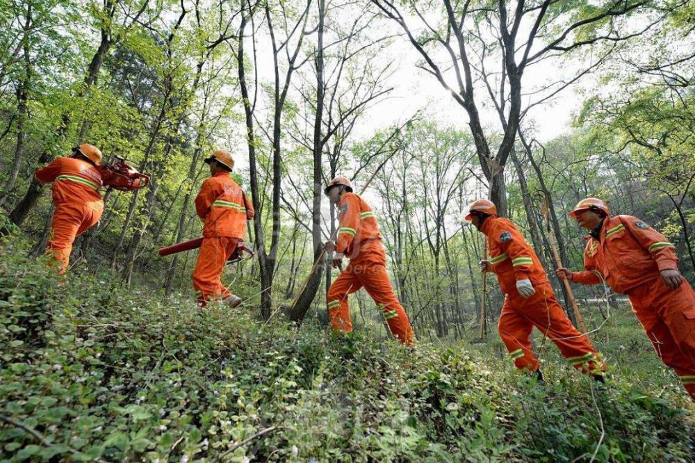 这5个理科生 考公务员 有优势专业 比较冷门 但竞争压力小 腾讯新闻