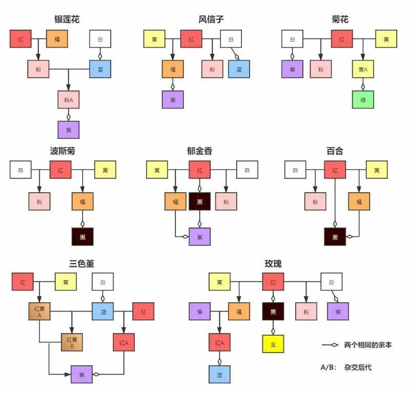 从孟德尔遗传定律研究动物森友会中的花卉杂交 腾讯新闻