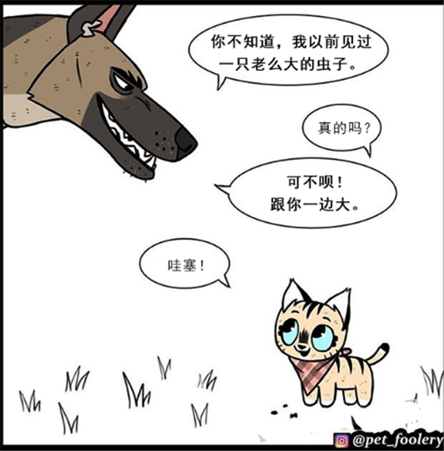 暖心漫画 家猫羡慕军犬的獠牙 军犬想象长大后的家猫 可爱的印象瞬间崩溃 腾讯新闻