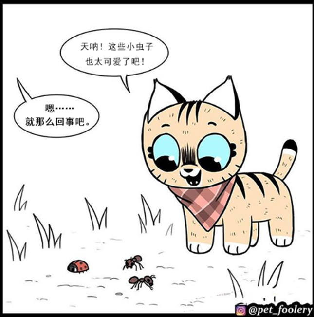 暖心漫画 家猫羡慕军犬的獠牙 军犬想象长大后的家猫 可爱的印象瞬间崩溃 腾讯新闻