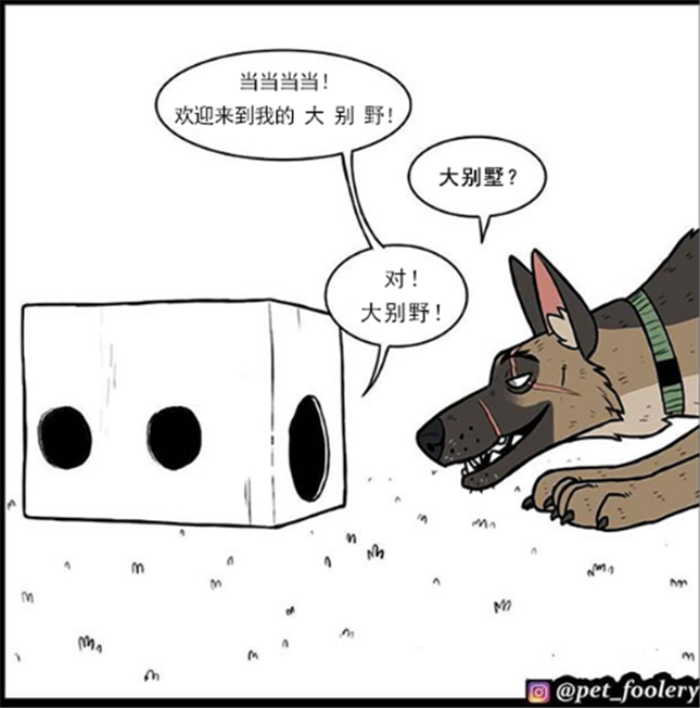 暖心漫画 家猫请军犬参观自己小别墅 家具应有尽有 军犬连脑袋都进不去 腾讯新闻