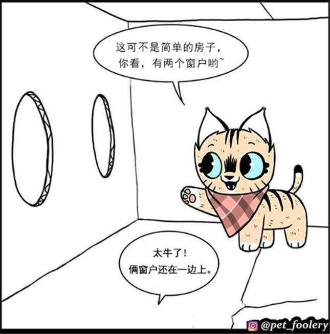 暖心漫画 家猫请军犬参观自己小别墅 家具应有尽有 军犬连脑袋都进不去 腾讯新闻