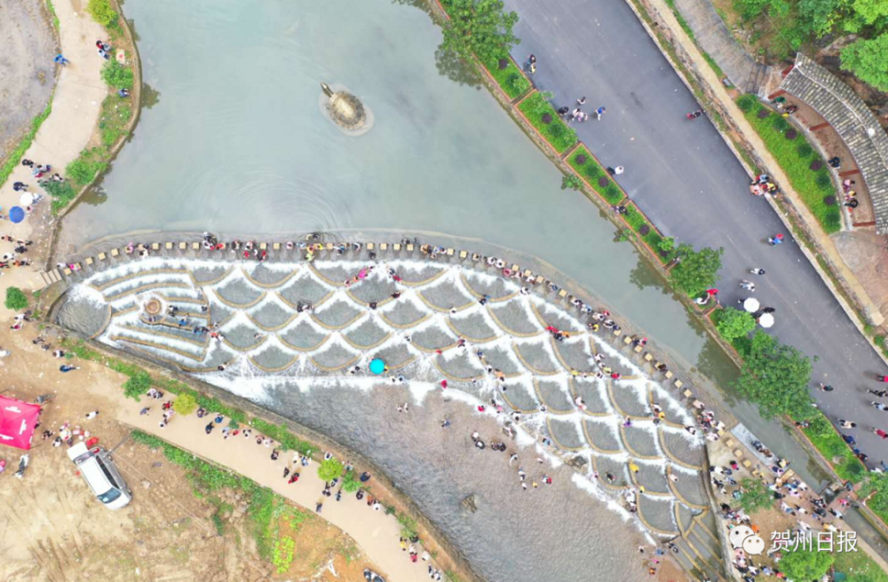 贺州黄姚镇杨村这叫鱼鳞坝的美景再也藏不住了