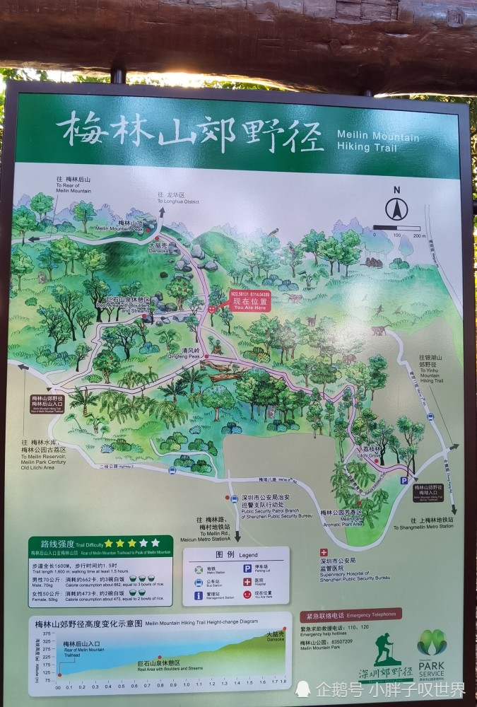 梅林后山大道图梅林山郊野公园导览图,官方标注的路线强度3颗星保险起
