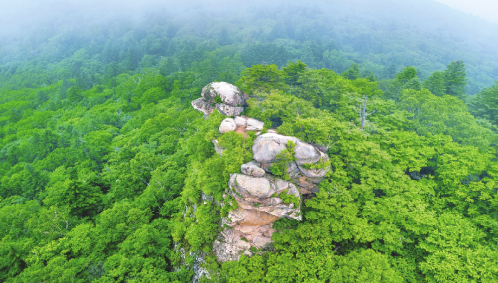 2020年,与抚顺有一场约会