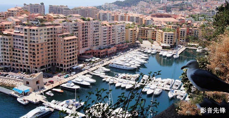 摩纳哥公国 monaco