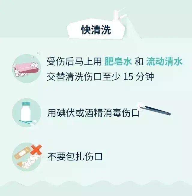 才是|这样做！对你家狗狗才是真爱~