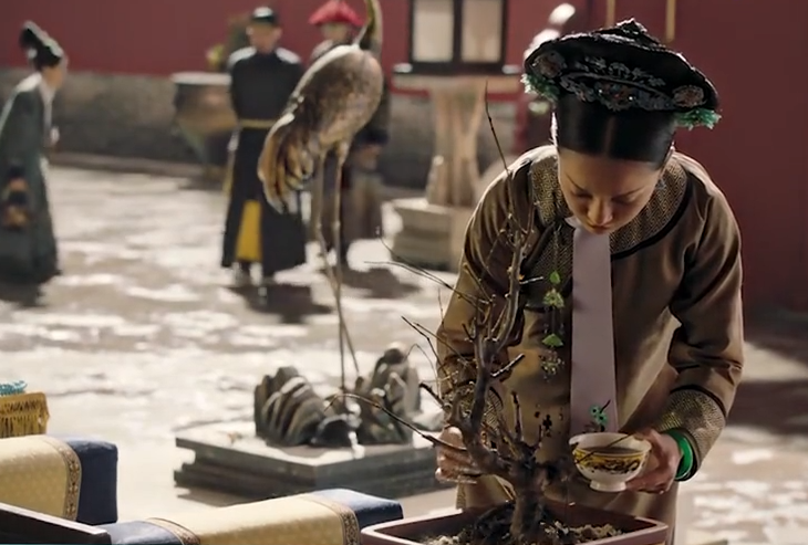 如懿传:如懿临死之时,给枯死的绿梅浇了什么东西?看懂后落泪