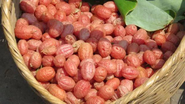 任它太阳转身回头我去墨江只为逛菜市场