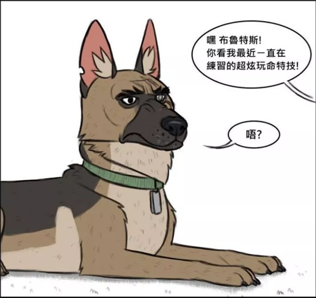 搞笑漫画 军犬细心照料小家猫的生活 害怕噪音的吸尘器被军犬扔掉了 腾讯新闻