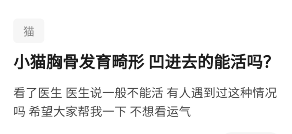 猫咪也可能有漏斗胸 轻度漏斗胸该如何发现 腾讯新闻