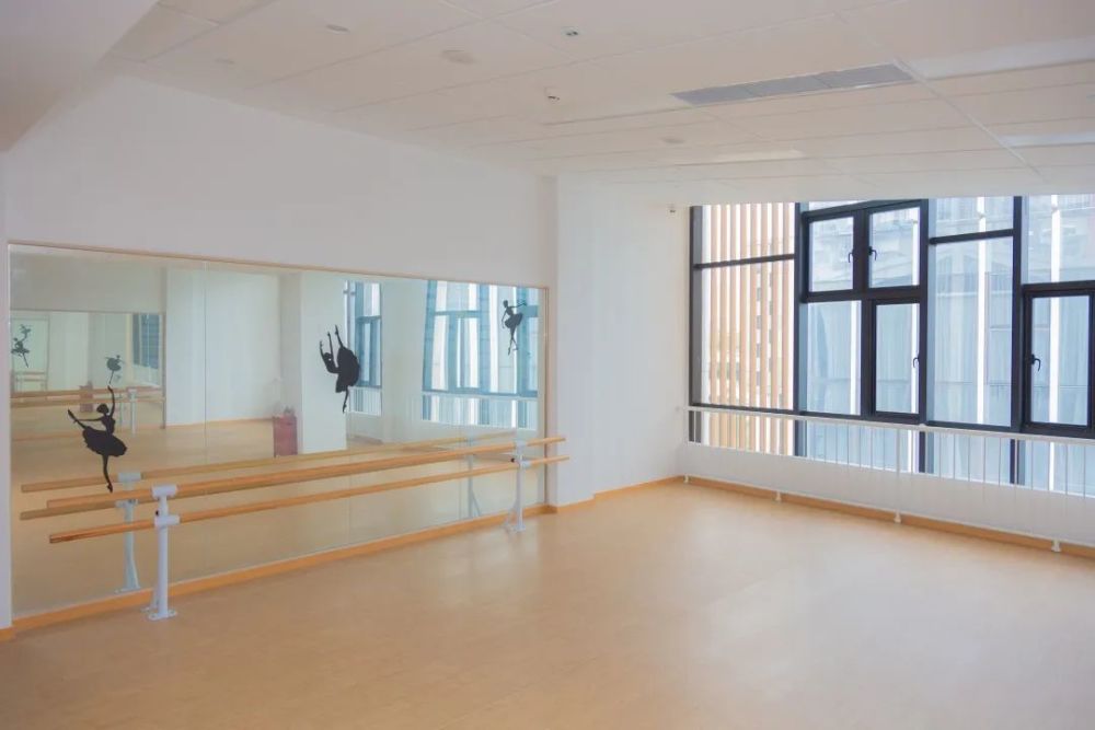 佛蒙特幼儿园形体教室佛蒙特幼儿园户外打击乐区对于学校而言,艺术