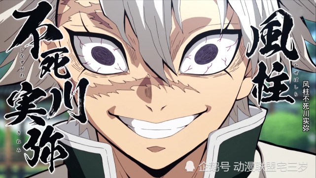 鬼灭之刃 九柱实力深度分析 岩柱最强 蝴蝶忍不是最弱 蝴蝶忍 鬼灭之刃 鬼杀队 黑死牟 水柱义勇 九柱