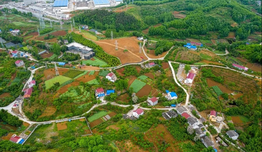 又是一年樱桃红 腾讯新闻