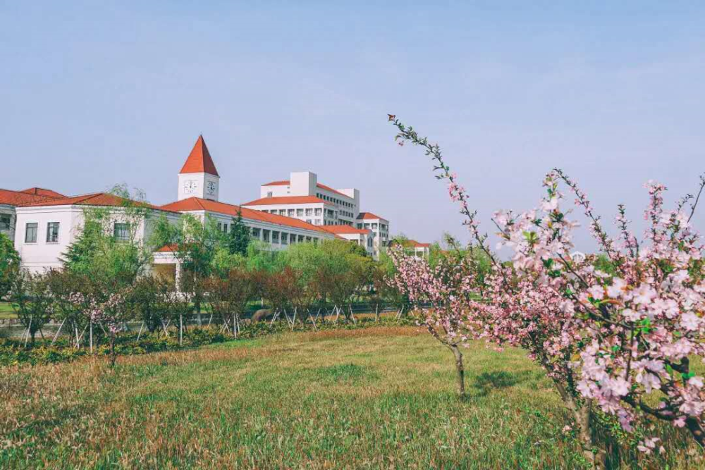 江蘇師範大學南京工業大學南京林業大學揚州大學江蘇大學江蘇省大連