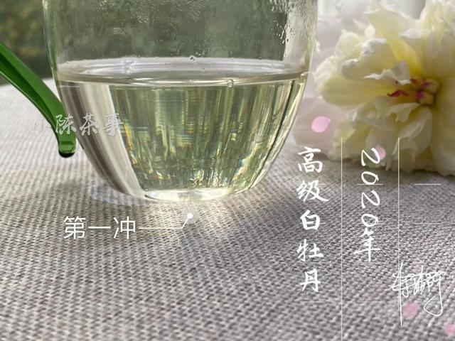 同样是春白茶 年的高级白牡丹 与19年的有什么不同 腾讯新闻