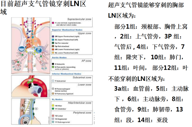 纵隔肿瘤的诊断3诊断不明原因的肺门和/或纵隔淋巴结肿大;2