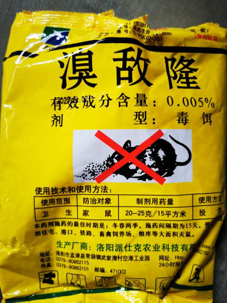 看好小孩和宠物!明天起,贵阳市将陆续投放灭鼠毒饵
