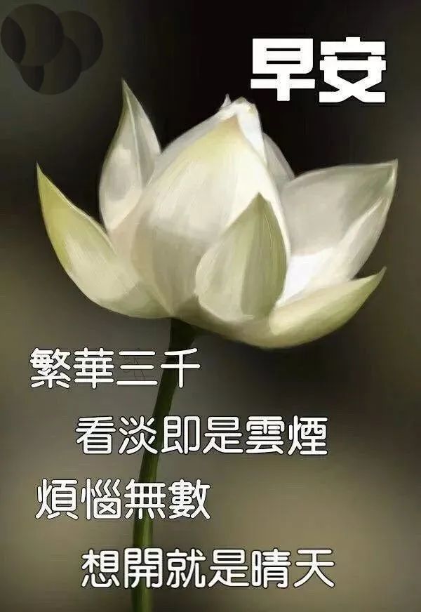 4月23日早上好最棒问候表情祝福语录 清晨最美祝福美图