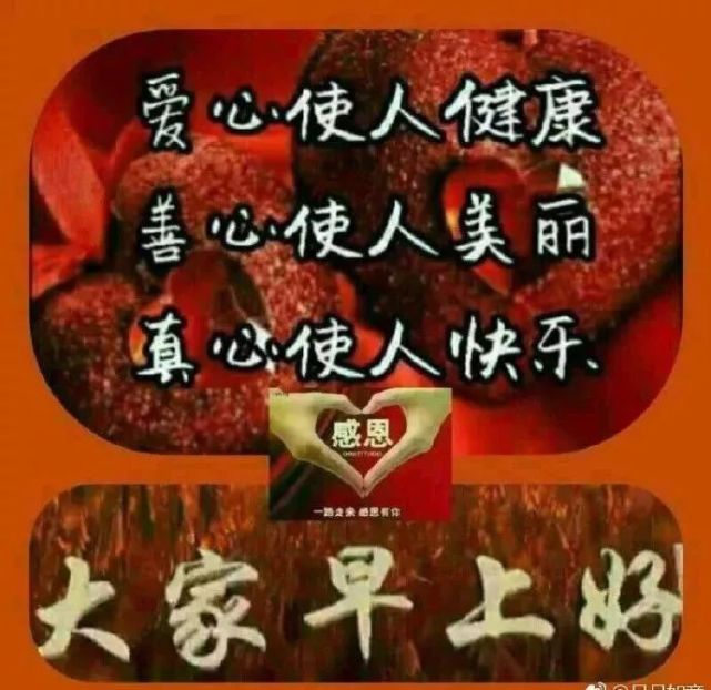 大家早上好,正能量问候语图片动态温馨带字 早上好鲜花动态表情图片