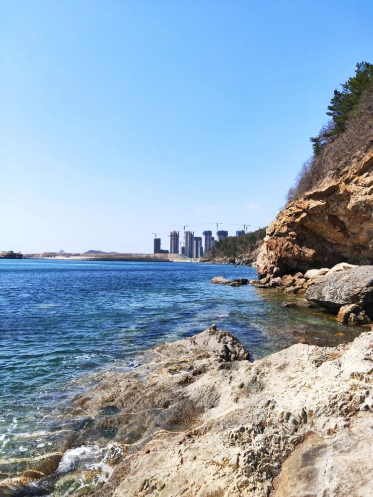 七贤岭森林公园