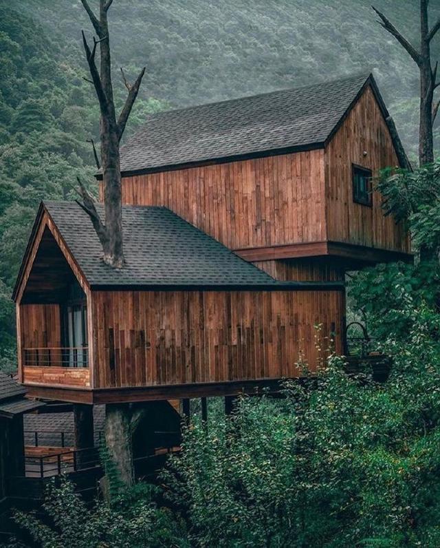 中国杭州树屋,号称现实版爱丽丝仙境,堪比瑞典树屋酒店