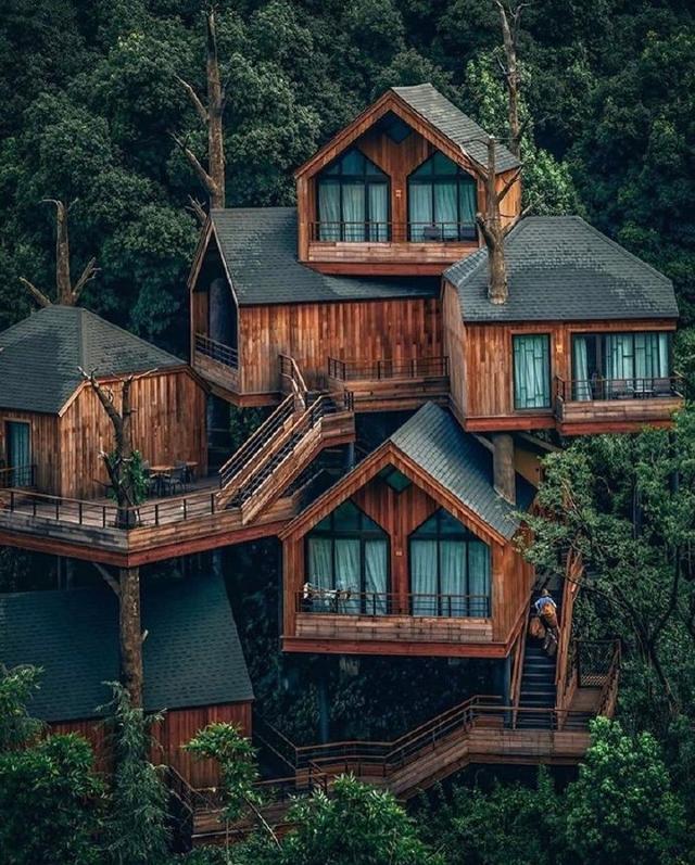 中国杭州树屋,号称现实版爱丽丝仙境,堪比瑞典树屋酒店