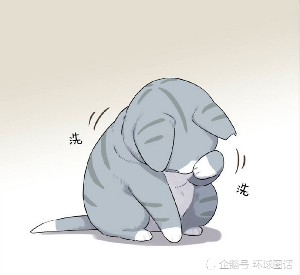 爆笑:小猫咪正在洗脸,大黄狗一只在旁边看着,其实是"有事相求"_腾讯