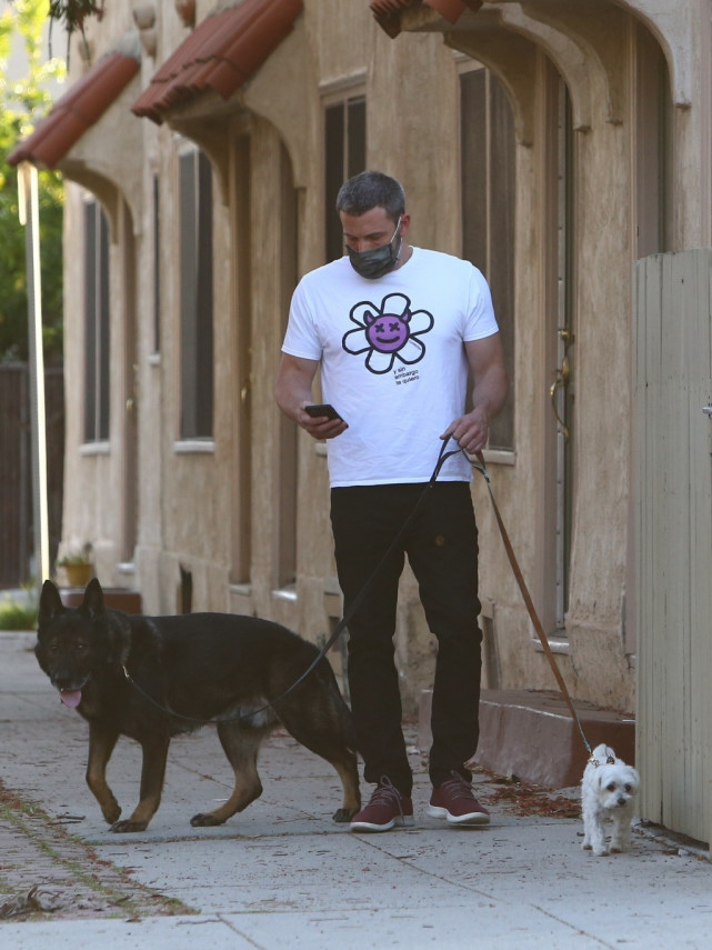 48岁本·阿弗莱克和女友腻歪了60天后,终于独自一人遛狗了