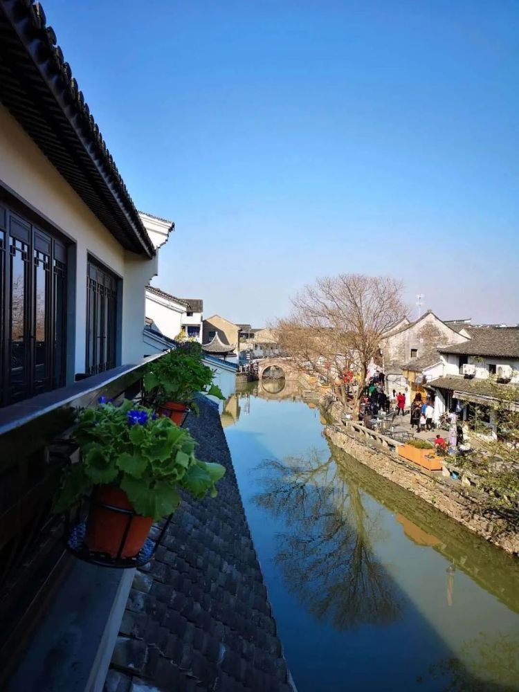 讲真,在慈溪这样个性化的疗休养方式很多人还没体验过