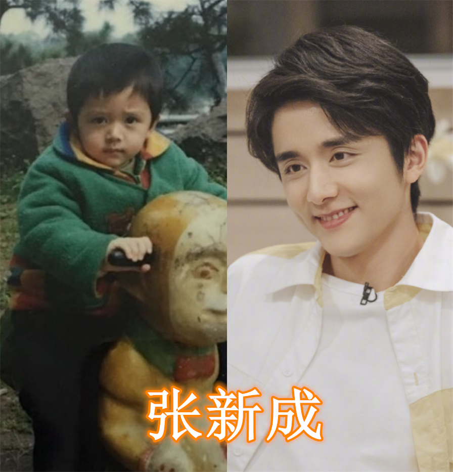最后看到的是张新成小时候,张新成如今已经成为一位热气爆棚的演技派