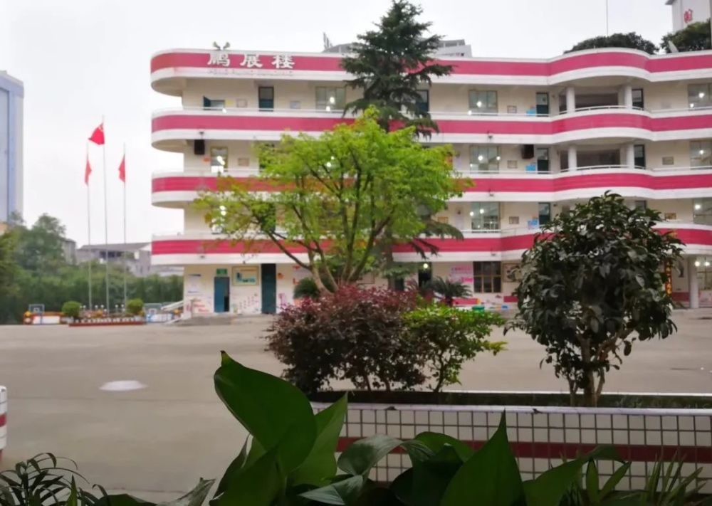 复课后的教与学我们这样做