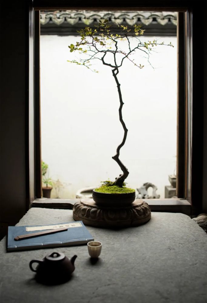 冯唐|冯唐：用美物消磨时光